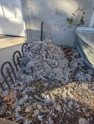 Wasatch vent cleaning and safety