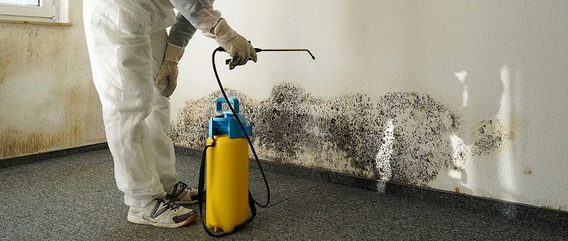 Indiana Restoration & Cleaning Services