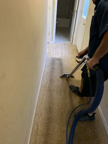 Rug Rover Property Services & Carpet Cleaning