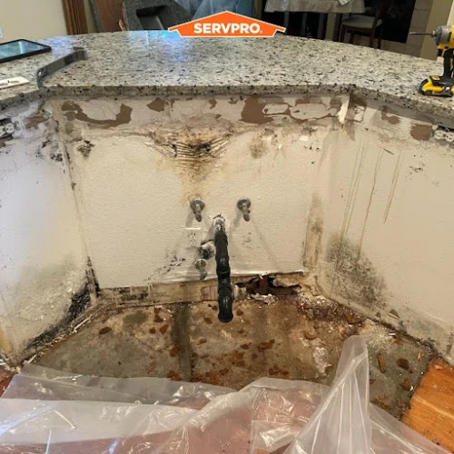 SERVPRO of Davis