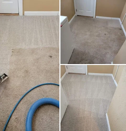 McLoughlin Carpet Cleaning LLC