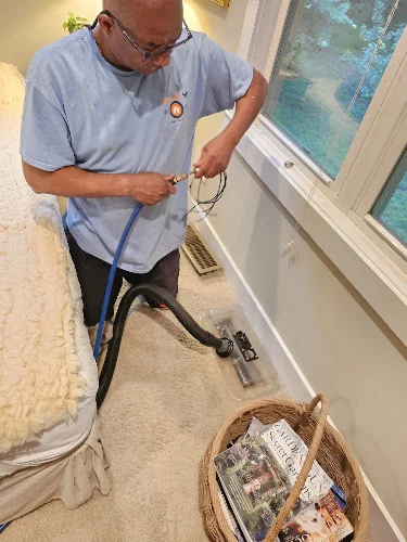 Mold Free NC