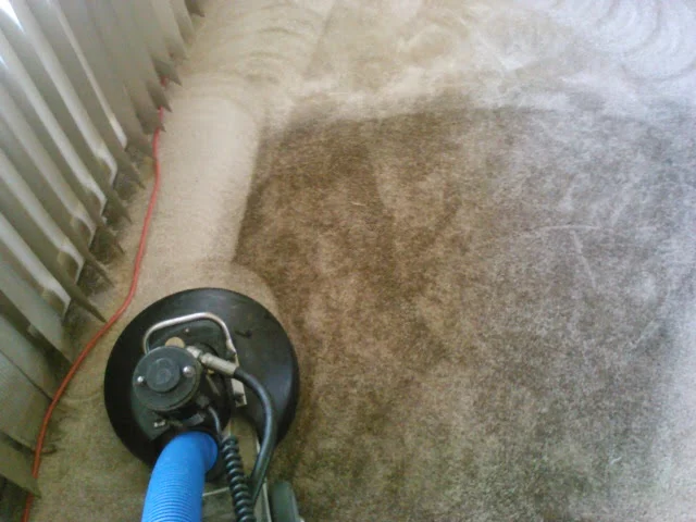 Don and Sons Carpet Cleaning