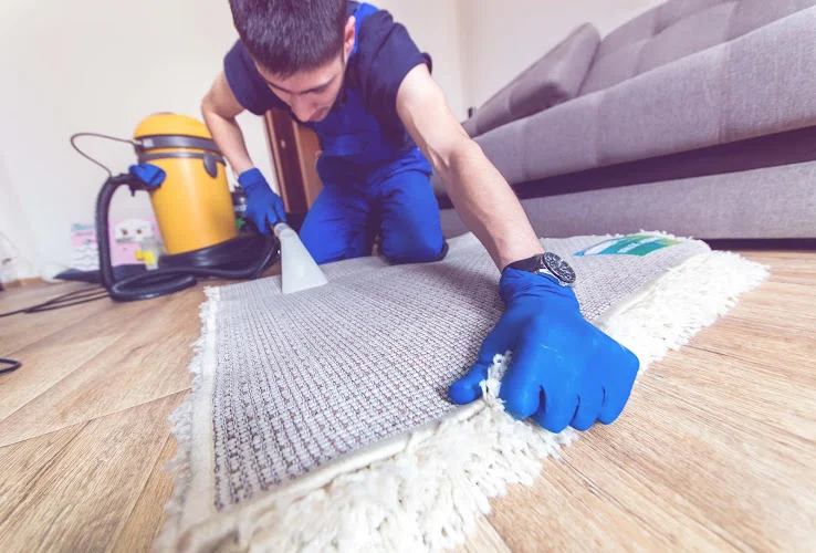 Alfred & Sons Carpet Cleaners
