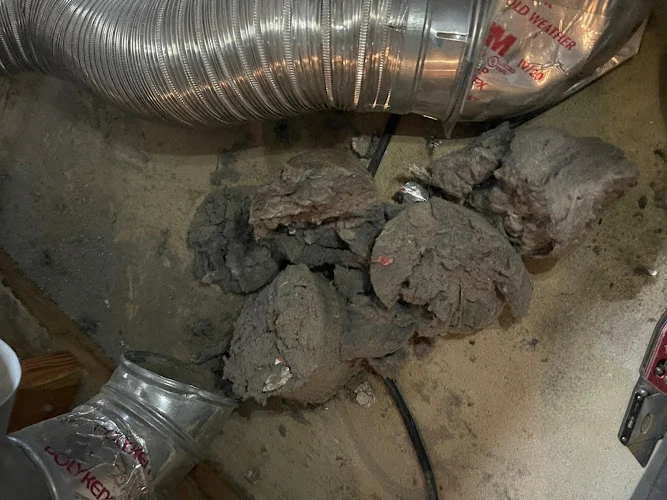 Oasis Dryer Vent Service