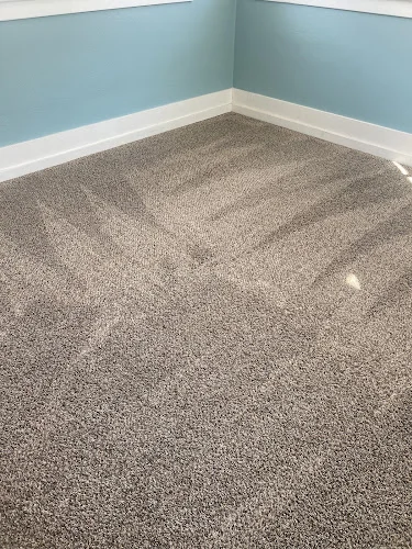 Heaven's Best Carpet Cleaning