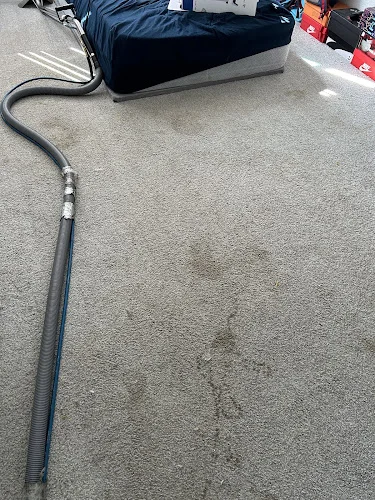 VR Green Cleaning