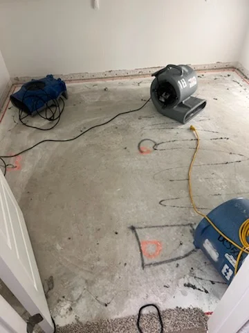 DynaClean Professional Services