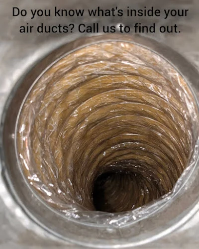 Mr. Duct Cleaner Willamette Valley