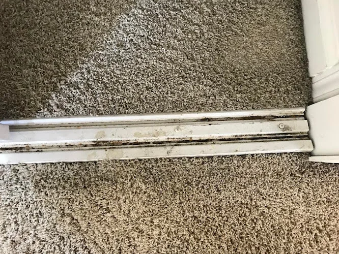 Squeaky's Home Cleaning