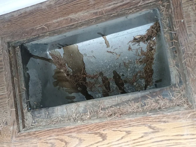 Rush Pro Vent Cleaning