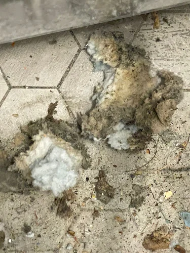 Zoom Dryer Vent Co.