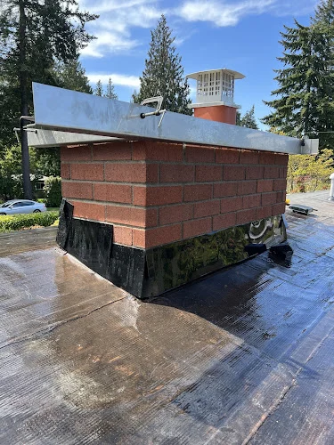 Leveled up Chimney Services