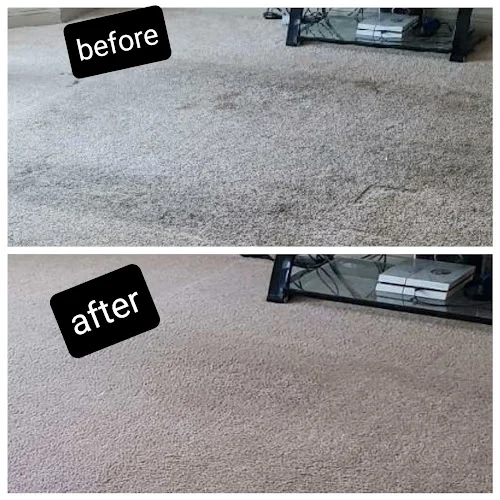 A1 Carpet Cleaning