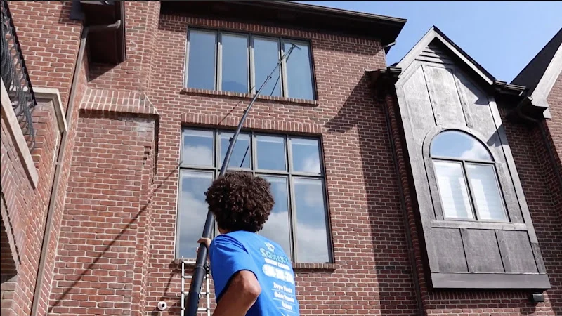 Squeaks Window Cleaning