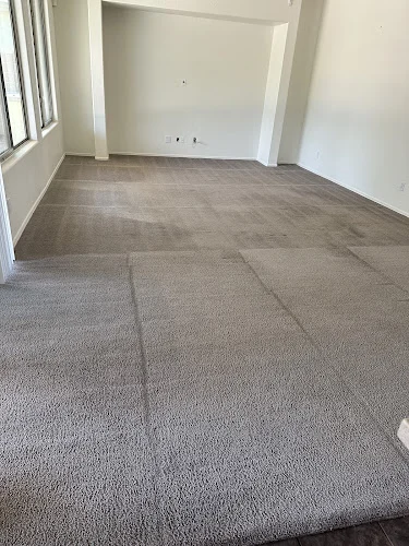 MaxClean Tile and Carpet Cleaning