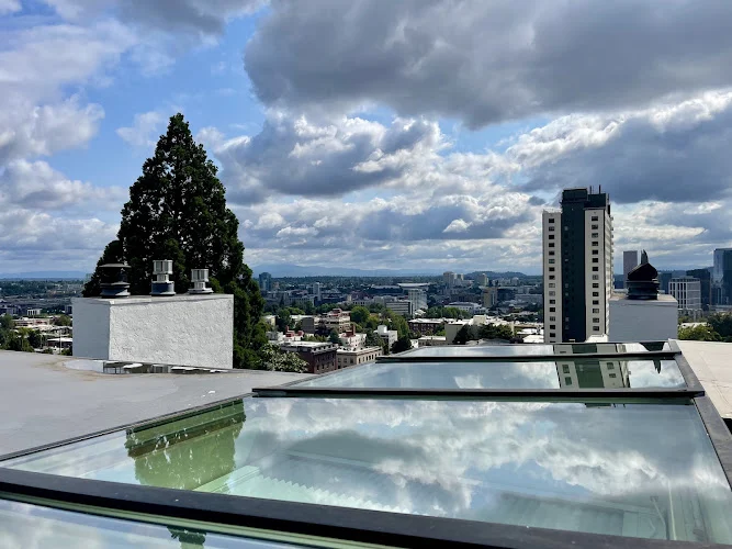 NW Shine | Moss Removal & Roof Cleaning Portland