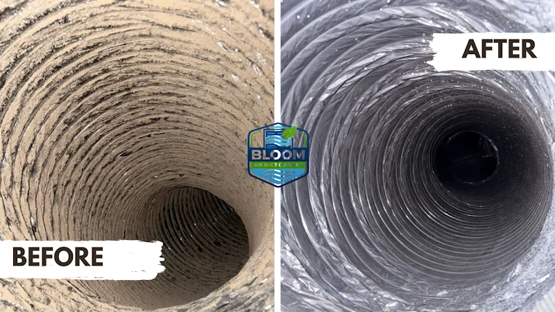 Bloom Air Duct Cleaning