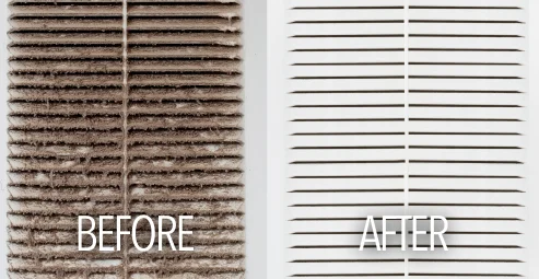 Evergreen Cleaning Air