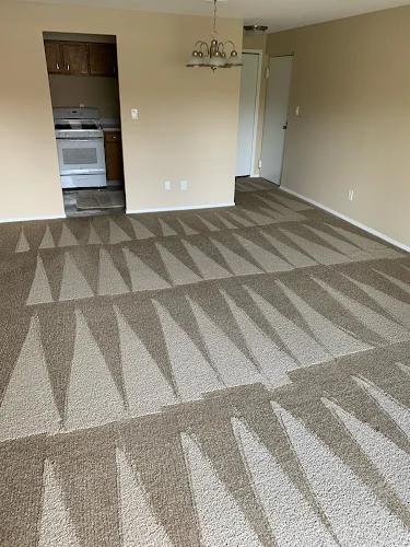 TopLevel Carpet Cleaning, LLC