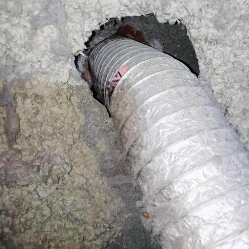 Crest Dryer Vent