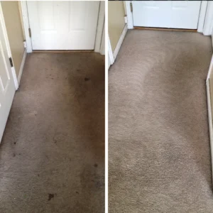 PurElements Carpet Cleaning Specialists
