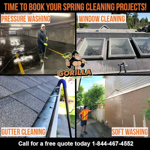 Gorilla Property Services of Greater Boca Raton