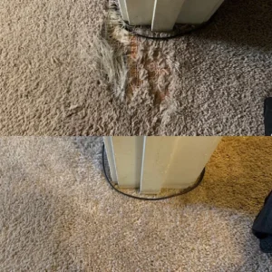 All American Cleaning & Restoration Inc.