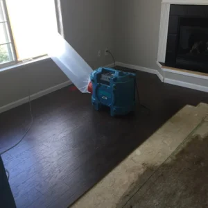 Dirty Paws Carpet & Air Duct Cleaning