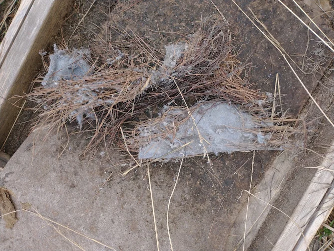 Leatherneck Dryer Vent Cleaning Service