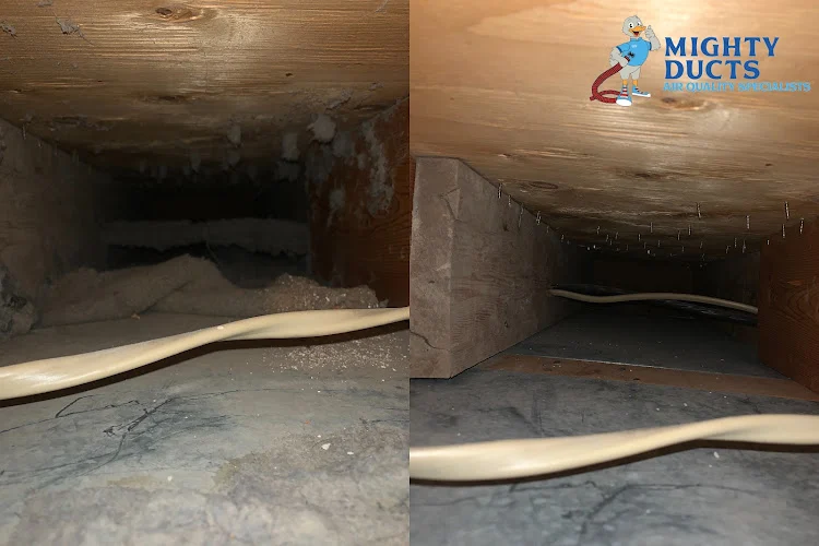 Mighty Ducts