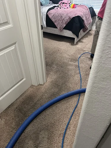 Snow White Carpet Cleaning