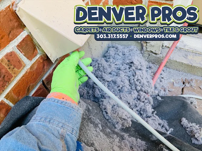 Denver Pros Cleaning Services