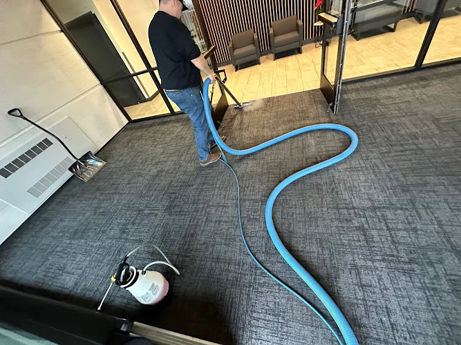 Lake Michigan Carpet Cleaning