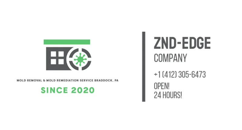 ZND-EDGE Mold Removal & Mold Remediation Service Braddock, PA
