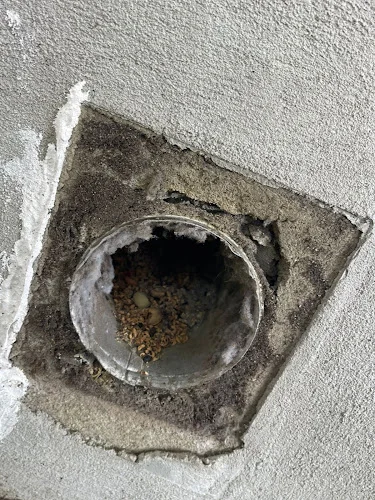 Neo Dryer Vent Service