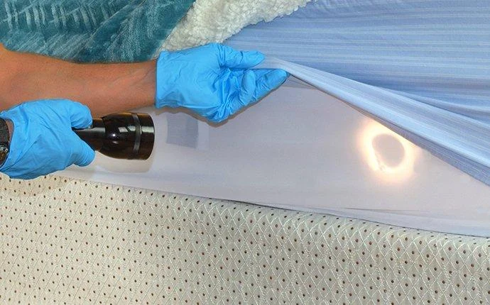 Bay Pest Solution Inc