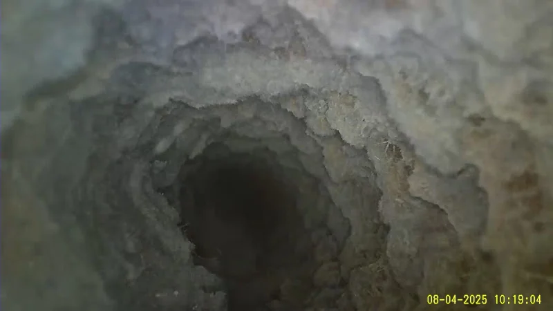 Zero Lint