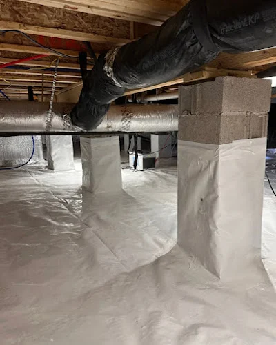 Breathe Easy Mold Remediation