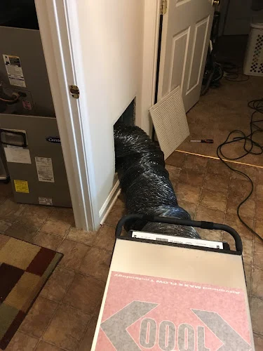 ABC Oriental Rug Cleaning Westbury