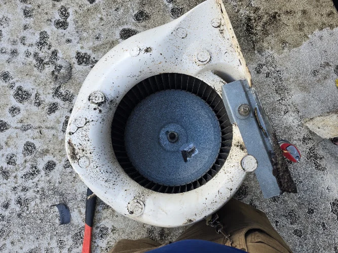 Delta Dryer Vent
