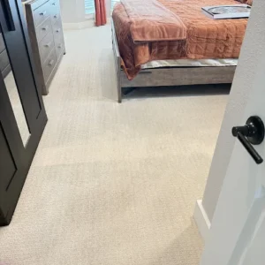 Clean Master Carpet Cleaning