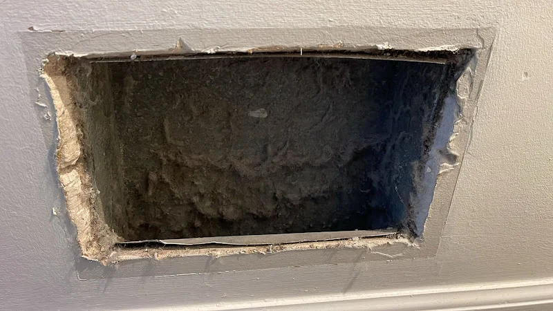 Dash Vent Cleaning