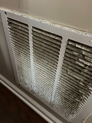 Ralph's Clean Air