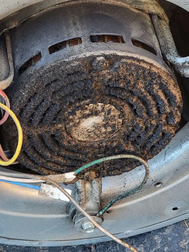 Mold Air Care