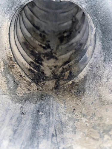 FreeFlow Dryer Vent Cleaning