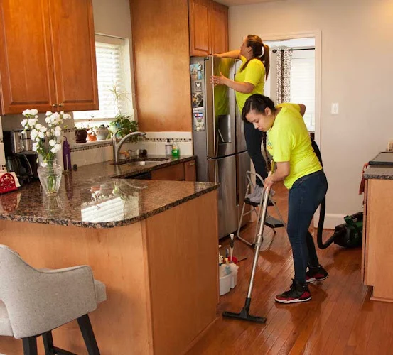 Skilled Maids - House Cleaners MD DC VA