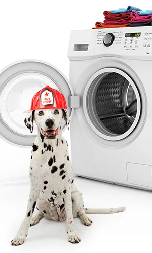Sears Carpet & Air Duct Cleaning of Central New York