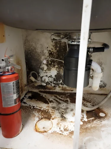 Professional Restoration Services of GA