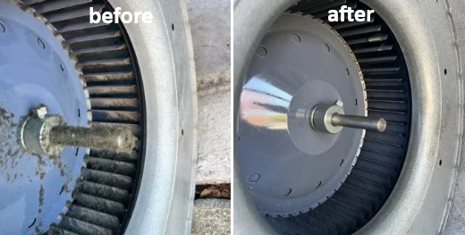 Sahra Core Brush Services
